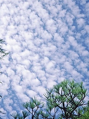 Como fotografias nos conectam a&nbsp;natureza?