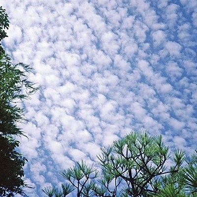 Como fotografias nos conectam a&nbsp;natureza?