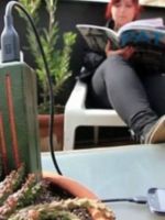 Plantas que carregam baterias de&nbsp;smartphones