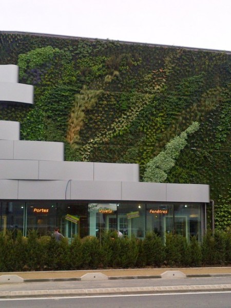 Empresas “verdes” por dentro e por&nbsp;fora