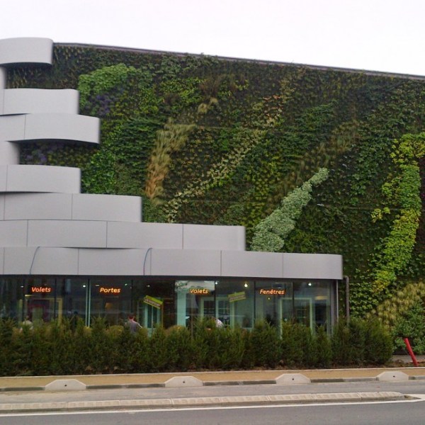 Empresas “verdes” por dentro e por&nbsp;fora