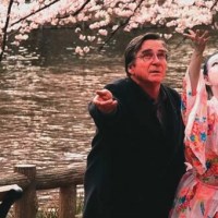 Cerejeira em flor: a dança da&nbsp;vida