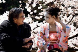 Hanami - Cerejeiras em Flor