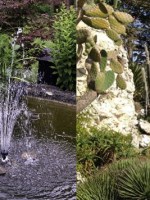 Secos e Molhados: inteligência das plantas para gestão&nbsp;climática