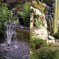 Secos e Molhados: inteligência das plantas para gestão&nbsp;climática