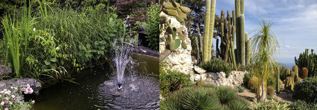 Secos e Molhados: inteligência das plantas para gestão&nbsp;climática