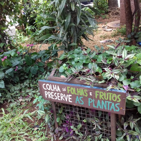 Horta da Praça do Ciclista