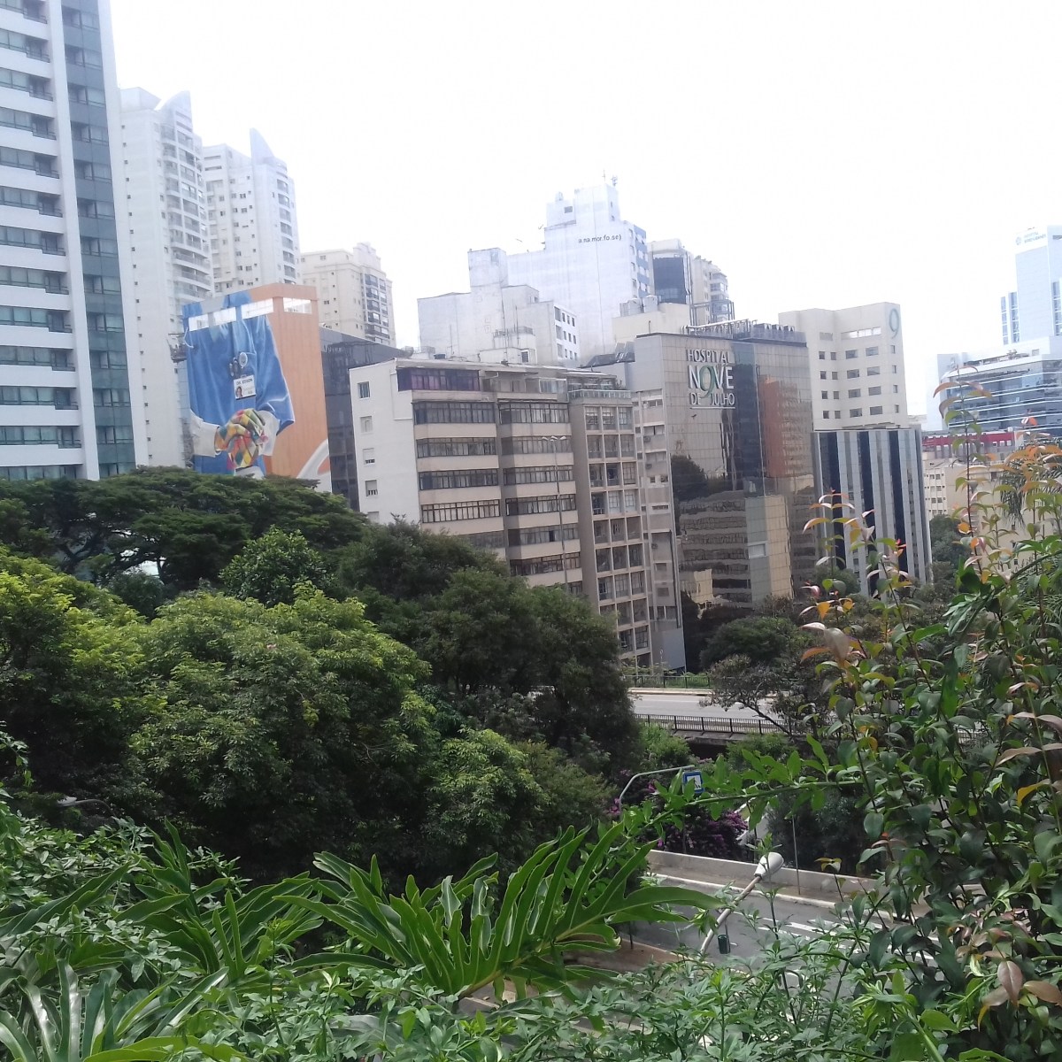 Biofilia na cidades : estudo aponta como o conceito se relaciona com os&nbsp;ODS