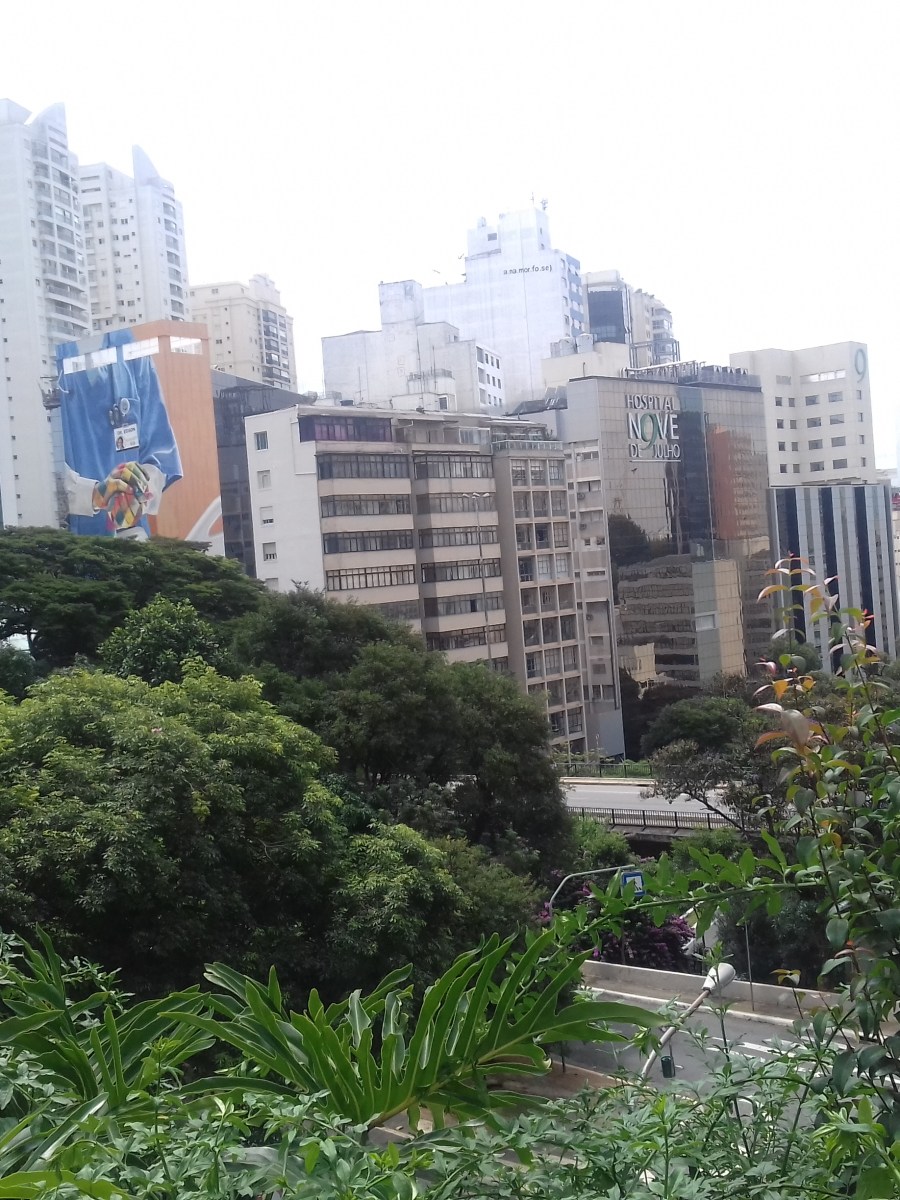 Biofilia na cidades : estudo aponta como o conceito se relaciona com os&nbsp;ODS