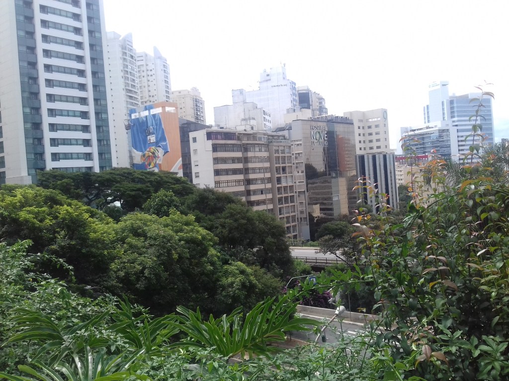 Biofilia na cidades : estudo aponta como o conceito se relaciona com os&nbsp;ODS