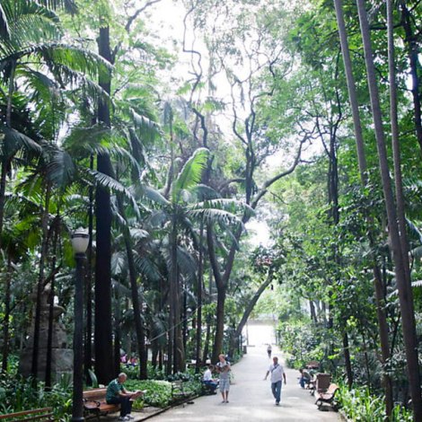 Ambiência 8: Cheios e calma