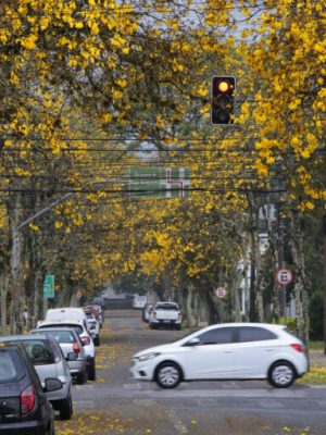 Primavera climática: La Niña acende o alerta para impactos à resiliência urbana e&nbsp;biodiversidade