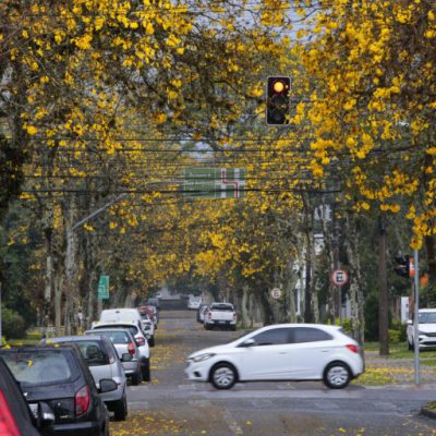 Primavera climática: La Niña acende o alerta para impactos à resiliência urbana e&nbsp;biodiversidade