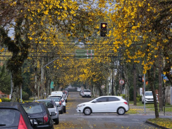 Primavera climática: La Niña acende o alerta para impactos à resiliência urbana e&nbsp;biodiversidade
